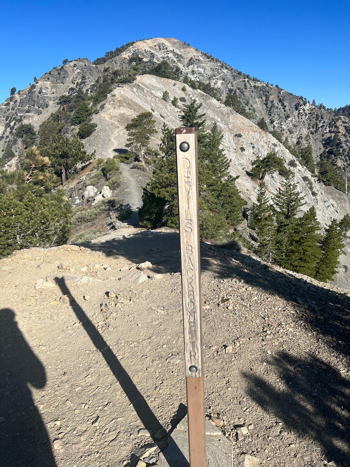 baldydevilsbackbone