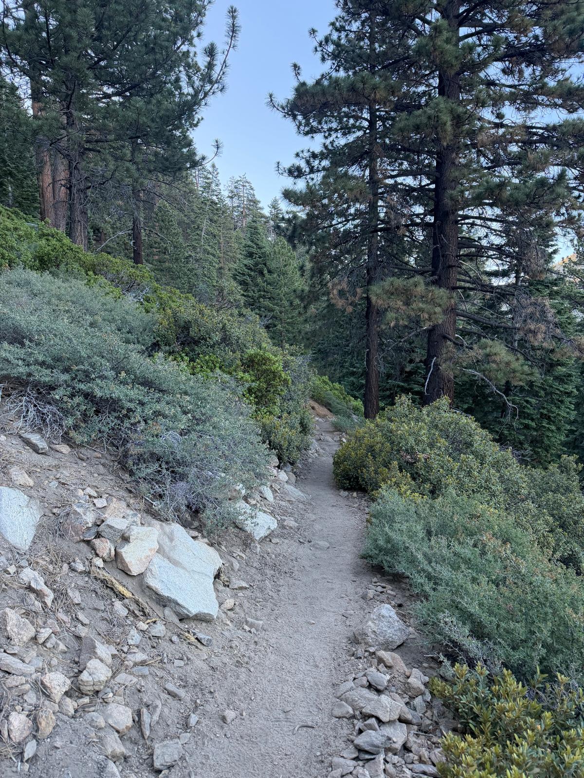 Trail scenery