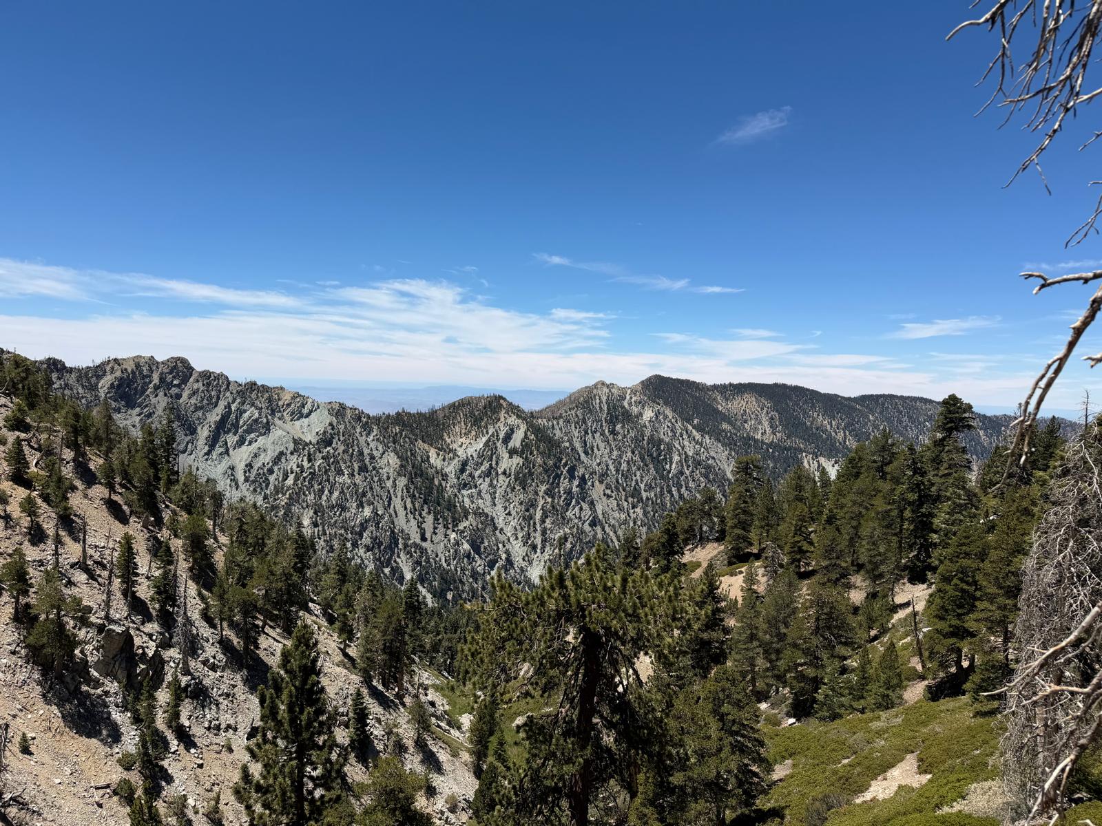 Trail scenery