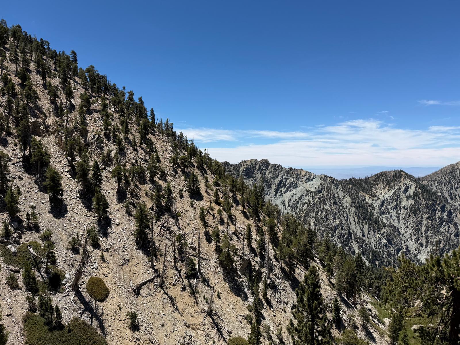 Trail scenery