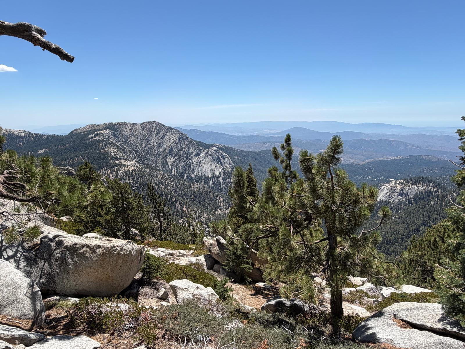 On the Deer Springs Trail