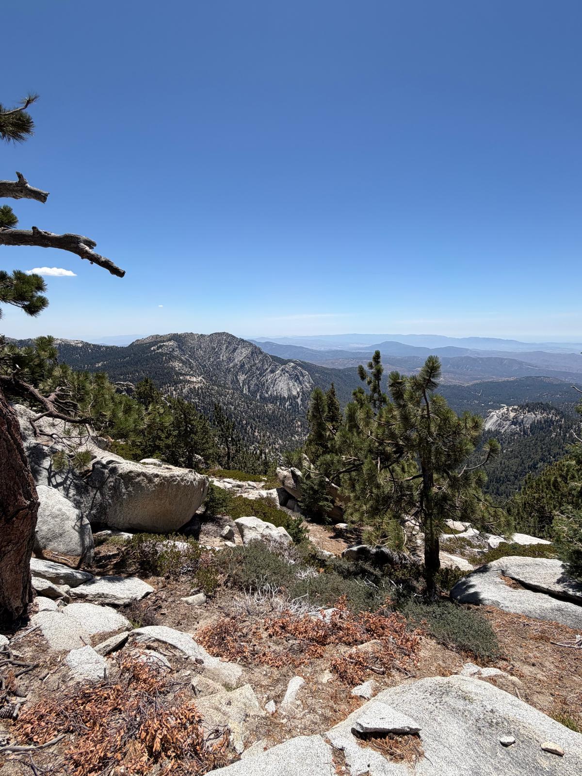 High on the mountain