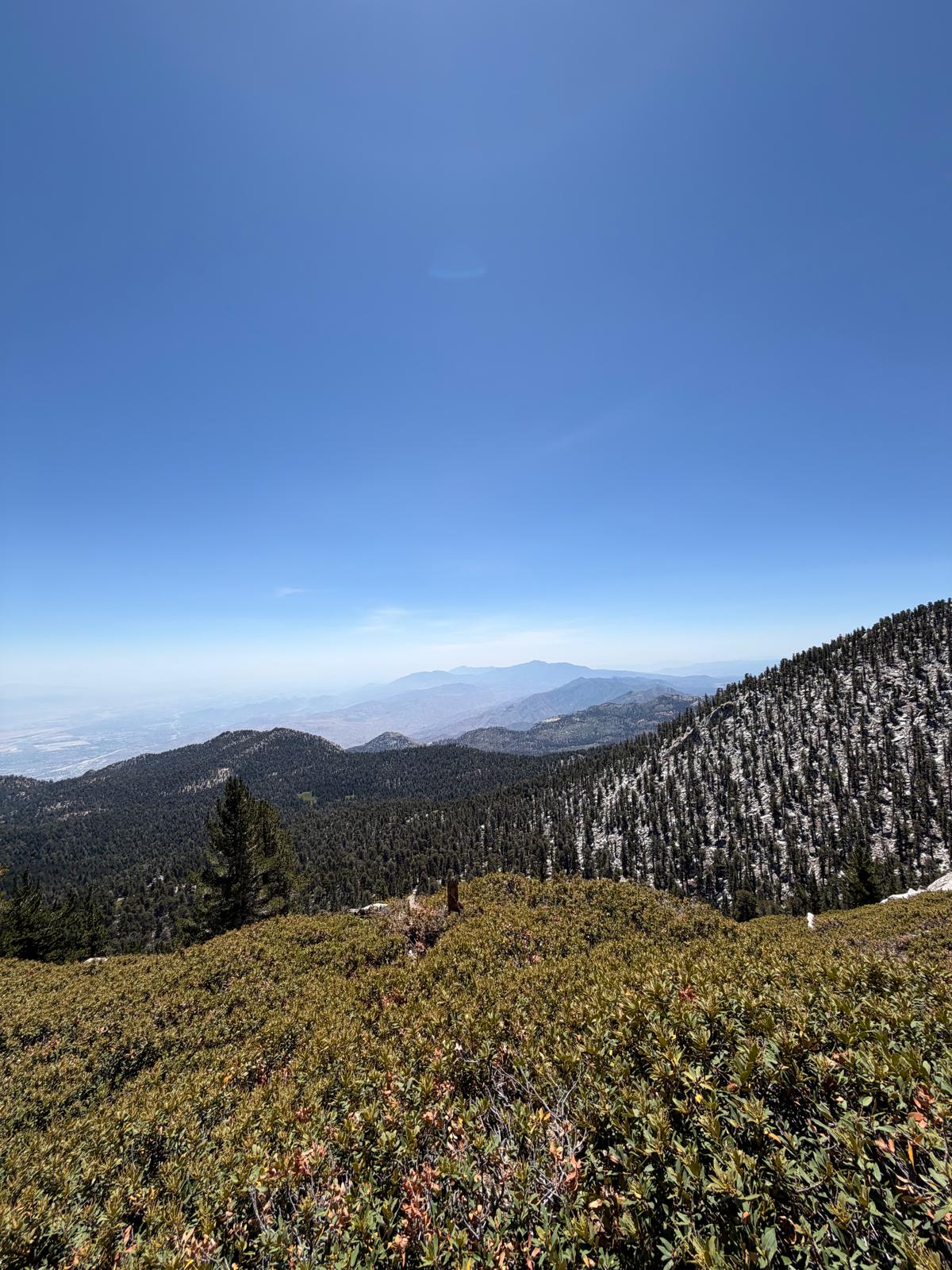 Trail scenery