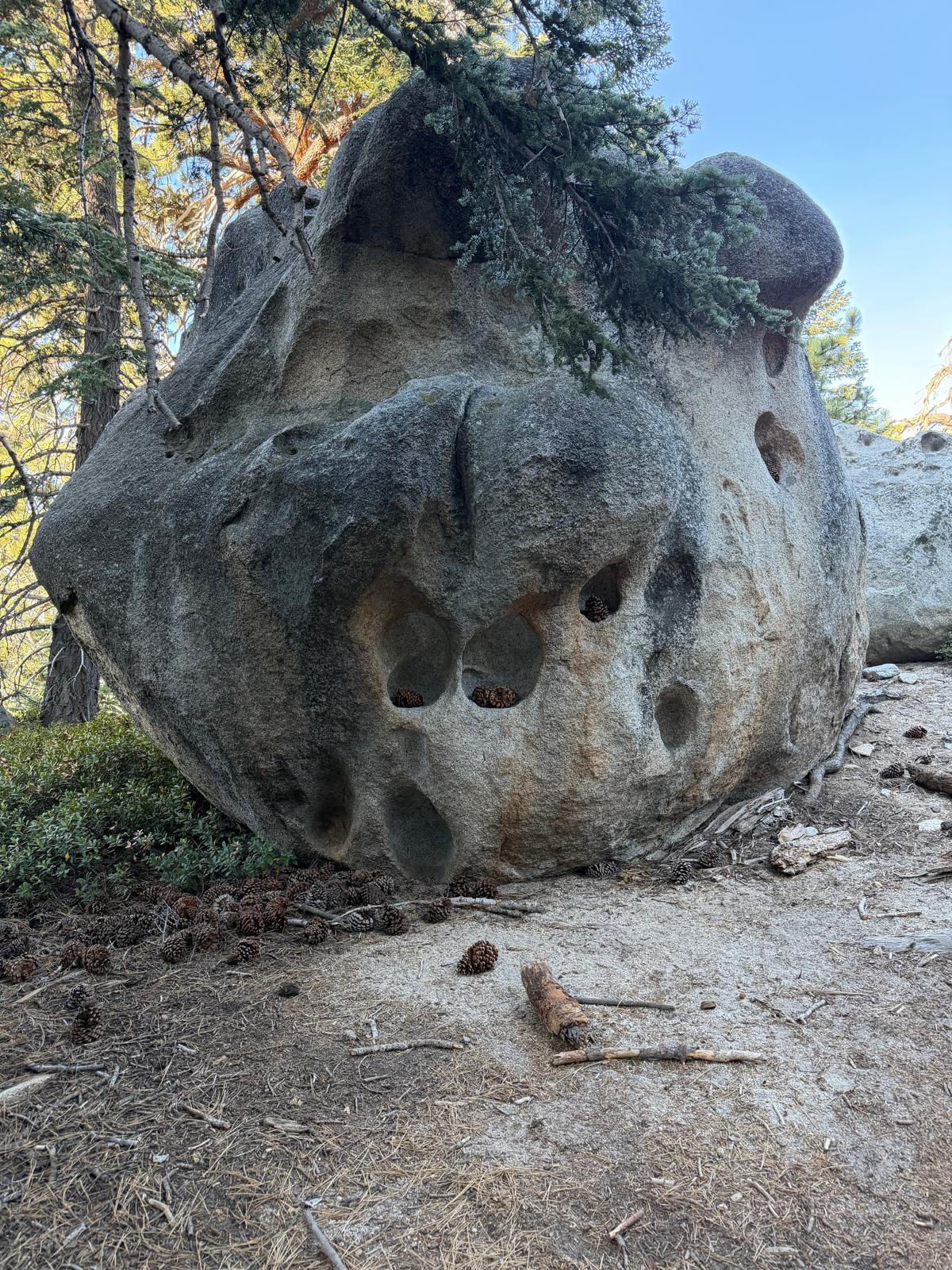 Wind-pocked granite