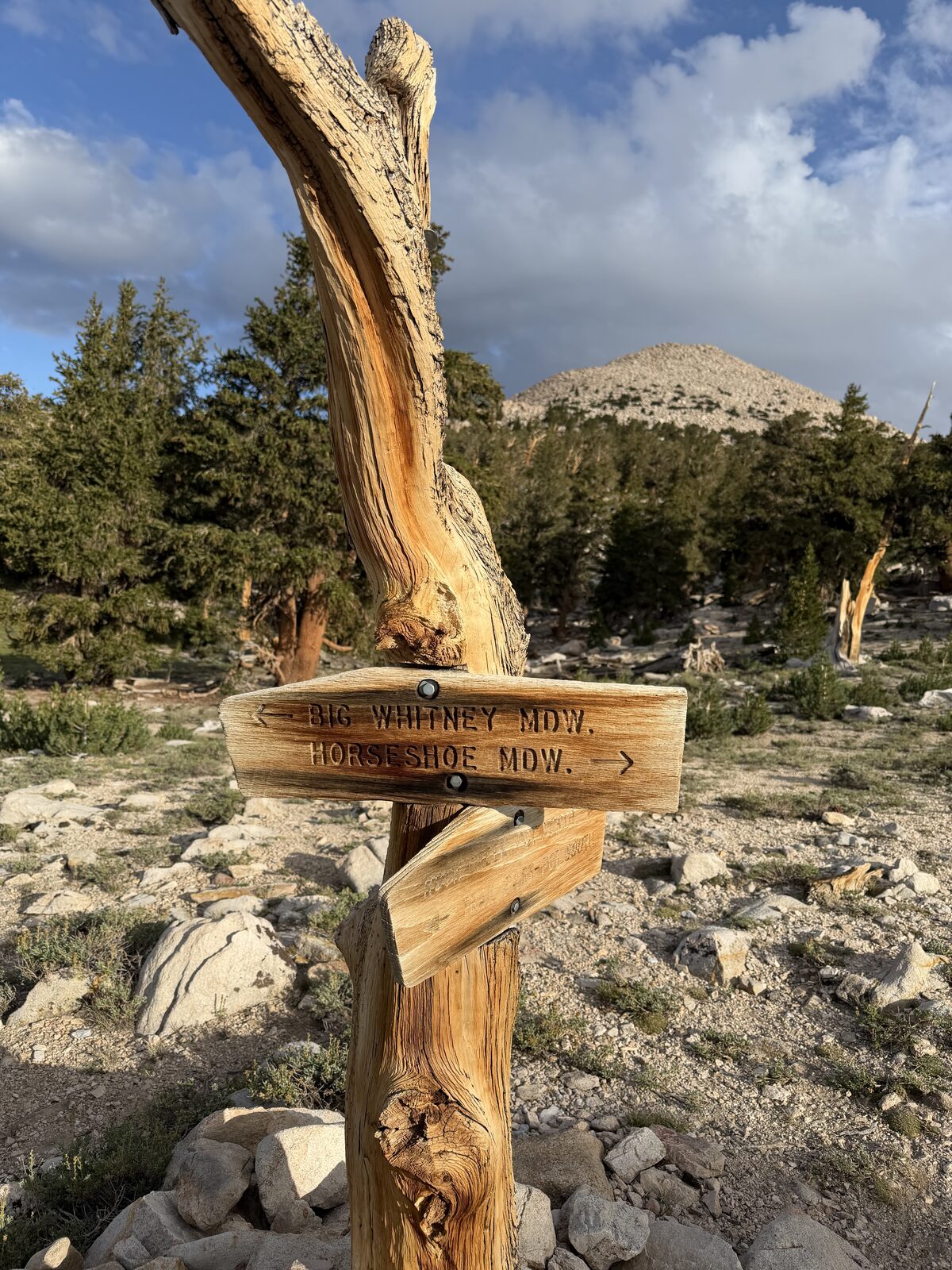 Big Whitney Meadow sign