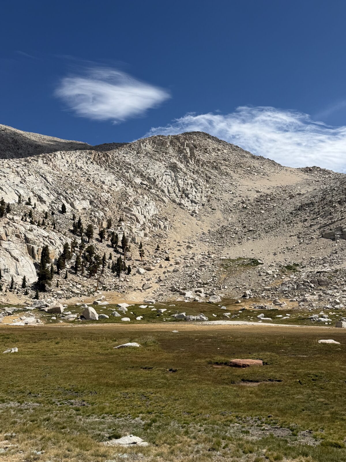 Above the meadow