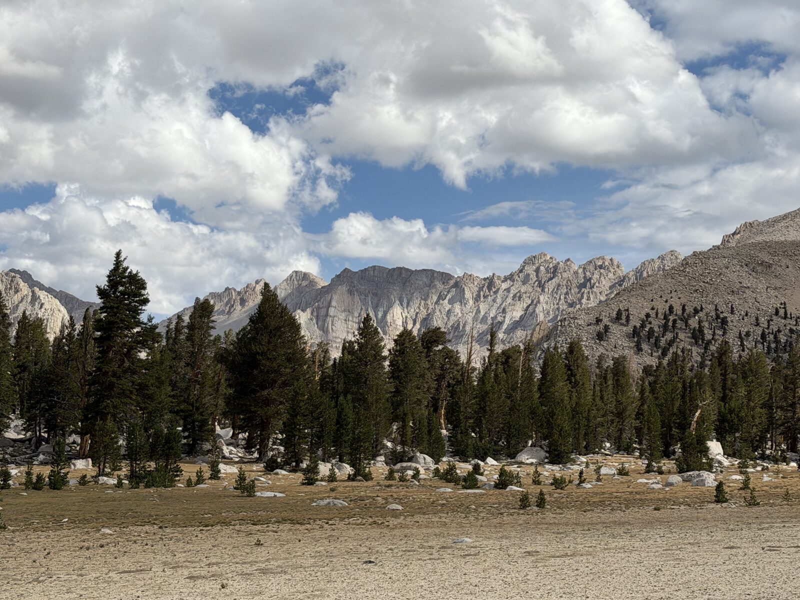 Meadow and peaks