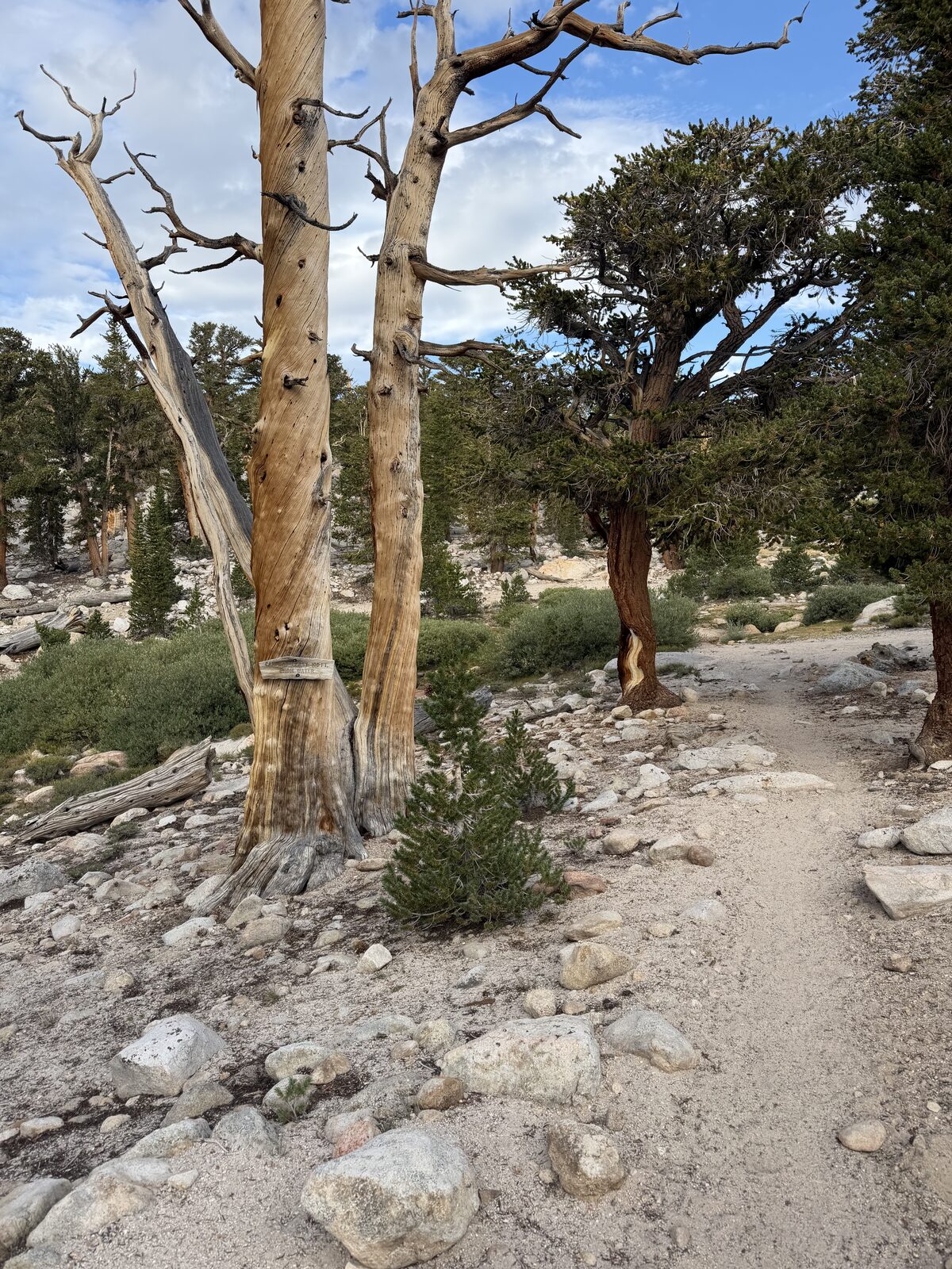Trailhead sign at Cottonwood Lakes