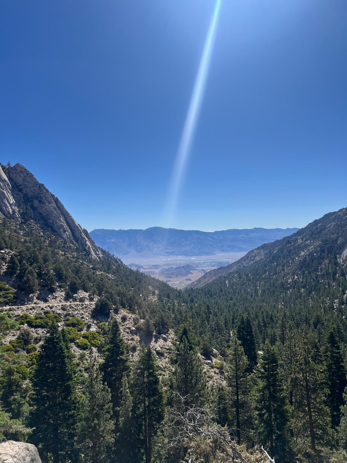 The descent from Whitney - another view