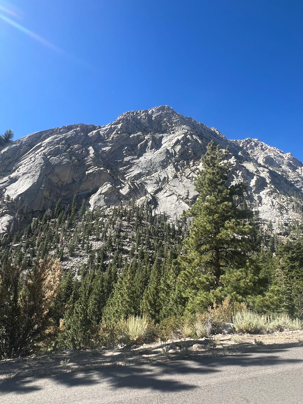 Trail scenery