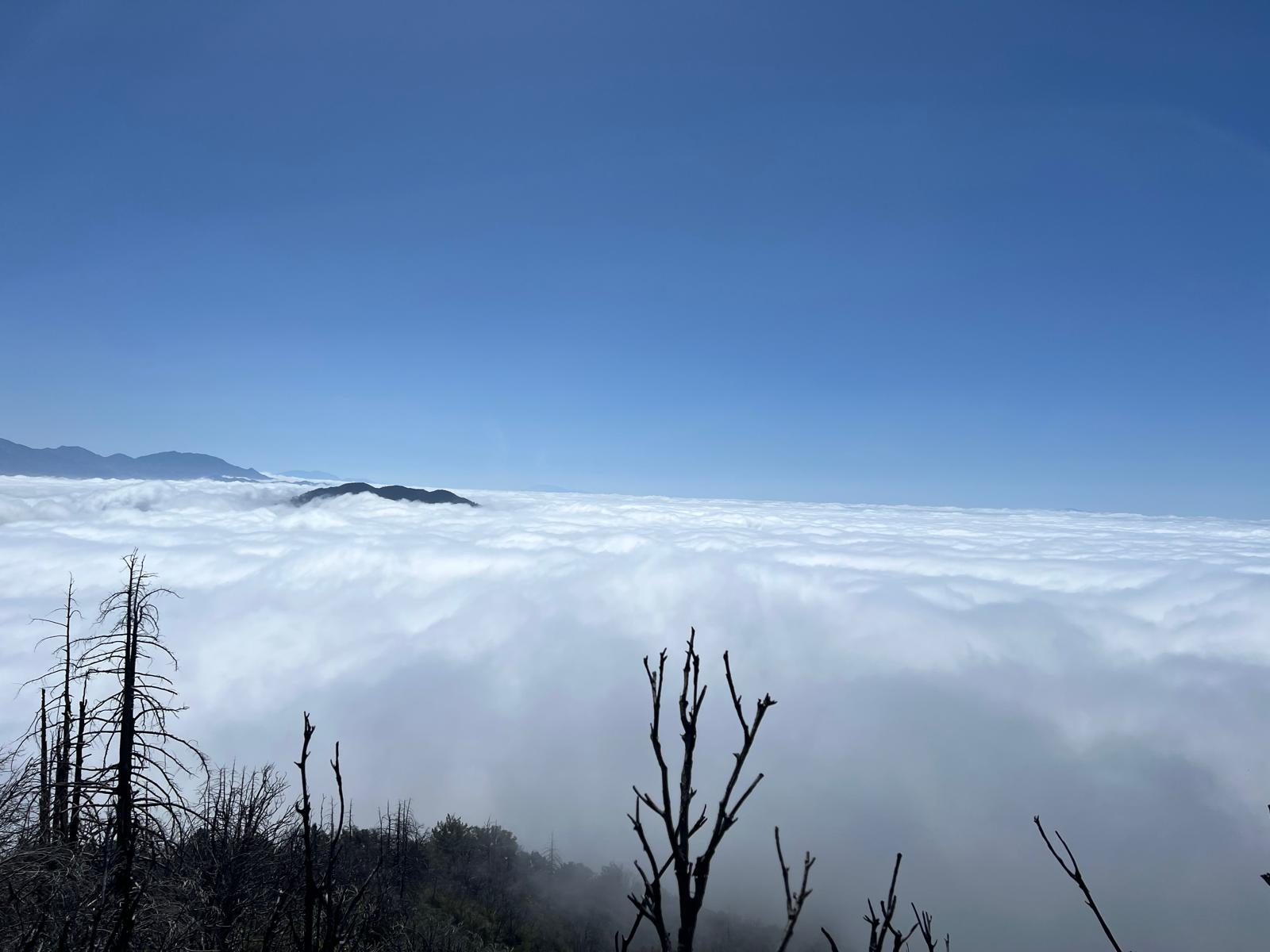 Mt. Wilson summit